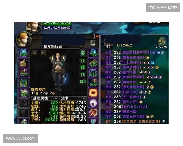 魔兽世界奶骑:输出与治疗的双重职业 魔兽世界奶骑:输出与治疗的双重职业